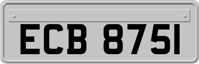 ECB8751