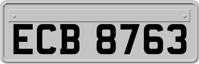 ECB8763