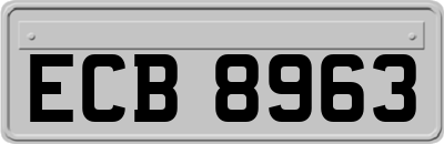 ECB8963