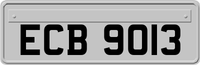 ECB9013