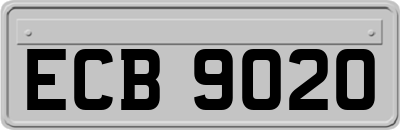 ECB9020
