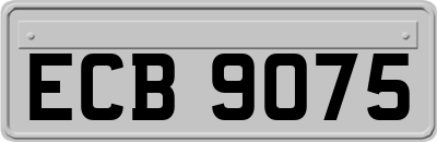 ECB9075