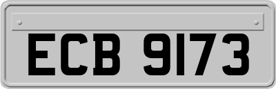ECB9173