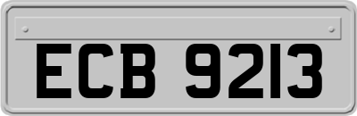 ECB9213