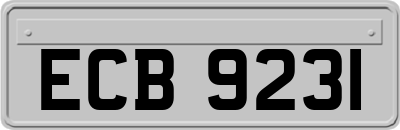 ECB9231