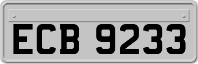 ECB9233