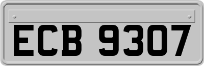 ECB9307