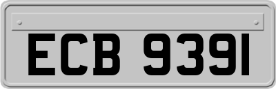 ECB9391