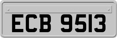 ECB9513