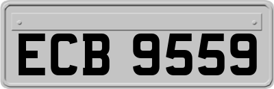 ECB9559