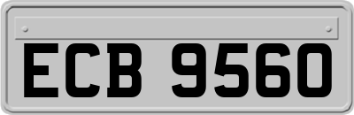 ECB9560