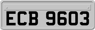 ECB9603