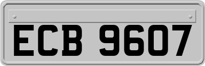 ECB9607