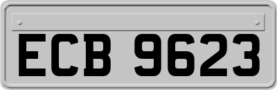 ECB9623