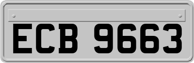 ECB9663