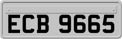 ECB9665