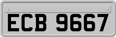 ECB9667