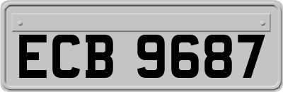 ECB9687