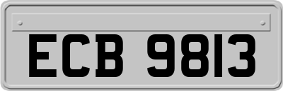 ECB9813