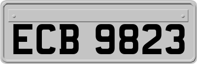 ECB9823