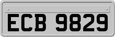 ECB9829