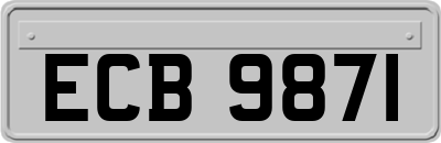 ECB9871