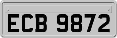 ECB9872