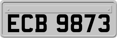 ECB9873