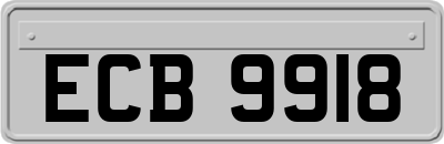 ECB9918
