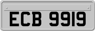 ECB9919