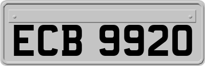 ECB9920