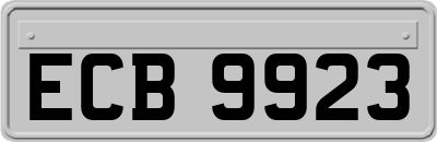 ECB9923
