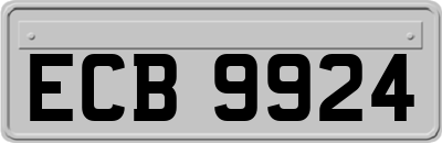 ECB9924