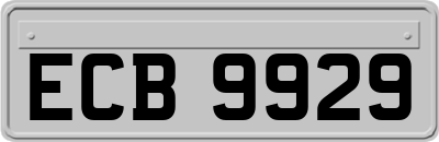ECB9929