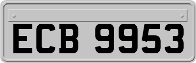 ECB9953