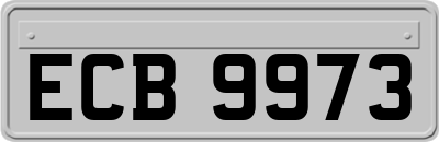 ECB9973