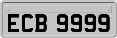 ECB9999