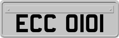 ECC0101