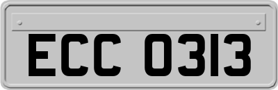ECC0313
