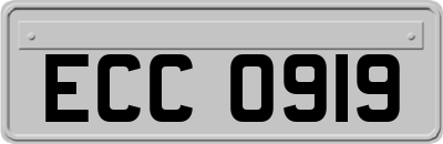 ECC0919