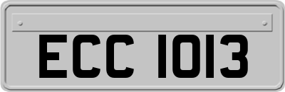 ECC1013