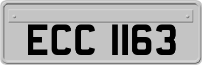 ECC1163