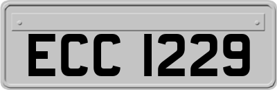 ECC1229