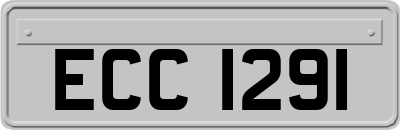 ECC1291