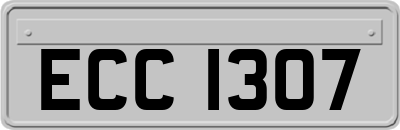 ECC1307