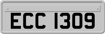 ECC1309
