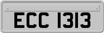ECC1313