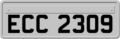 ECC2309