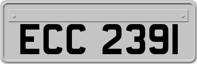 ECC2391