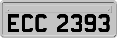 ECC2393